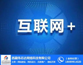拉萨网站建设哪家公司好？一站式服务省时省心